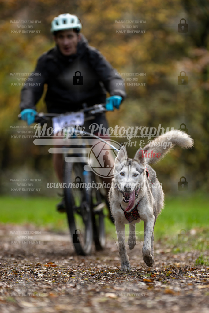 MompixPhotography_Bischwiller23_Bike-17 | mompixphotography