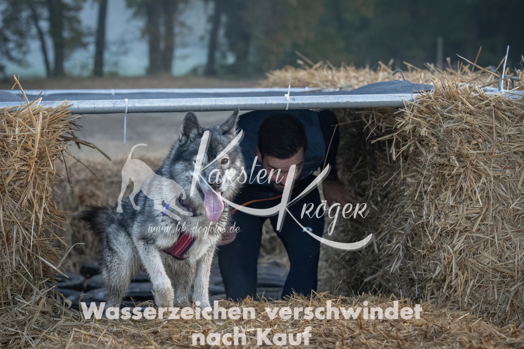 0839_ZZ98463 | kk-dogfotos