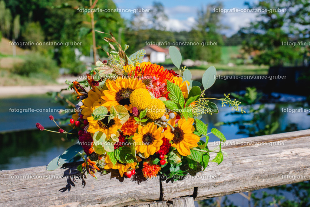 1015 | Fotografie Constance Gruber - Realisiert mit Pictrs.com