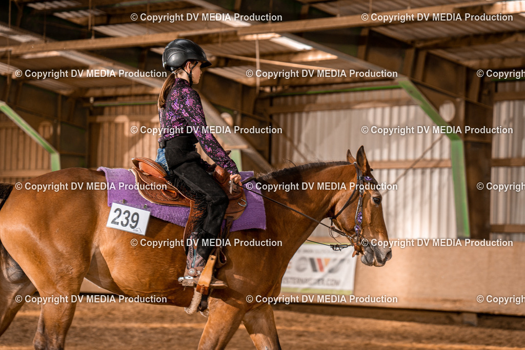 BAL02258 | dv-media-shop - Realisiert mit Pictrs.com