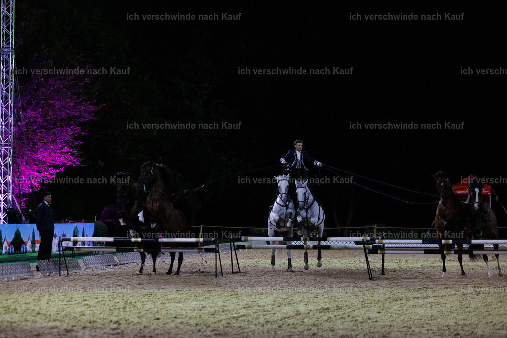 FHClassics-393 | working equitationturnier fotograf videograf stoibphotography marixx film working equitation deutschland reitsport turnierfotografie eventfotografie equestrian events