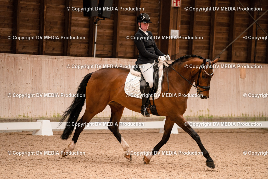 Dressur Tag 1 -074 | dv-media-shop - Realisiert mit Pictrs.com