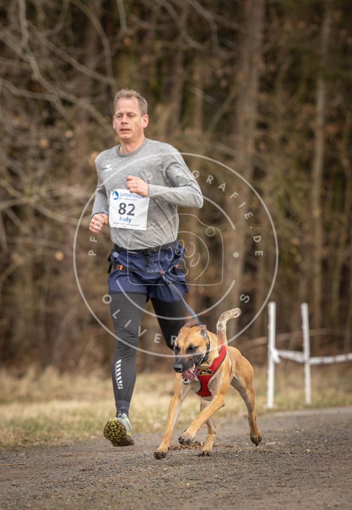 DV3A4120 | Hundefotografie, Tierfotograf, Pfotenfotografie, Fotoshooting Hund, Hunde Portrait, Hundesport, Hundeportraits, Heideshooting, Hunde, Sportfotograf, Hundefotograf, Turnierhundsport, THS,  - Realisiert mit Pictrs.com