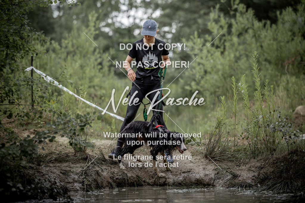 nelerasche_so0800-0930_519 | nelerasche