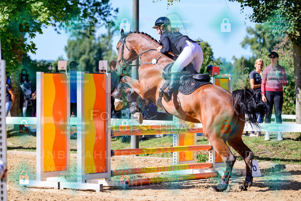30082026-Giesenbach-Prfg23-0070 | Fokus Hufschlag Fotografie - Realisiert mit Pictrs.com