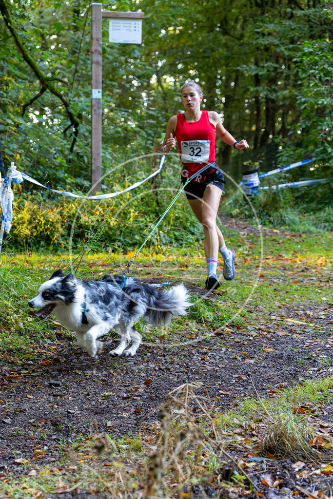 Pfotenfotografie_DV3A6695 | Hundefotografie, Tierfotograf, Pfotenfotografie, Fotoshooting Hund, Hunde Portrait, Hundesport, Hundeportraits, Heideshooting, Hunde, Sportfotograf, Hundefotograf, Turnierhundsport, THS,  - Realisiert mit Pictrs.com