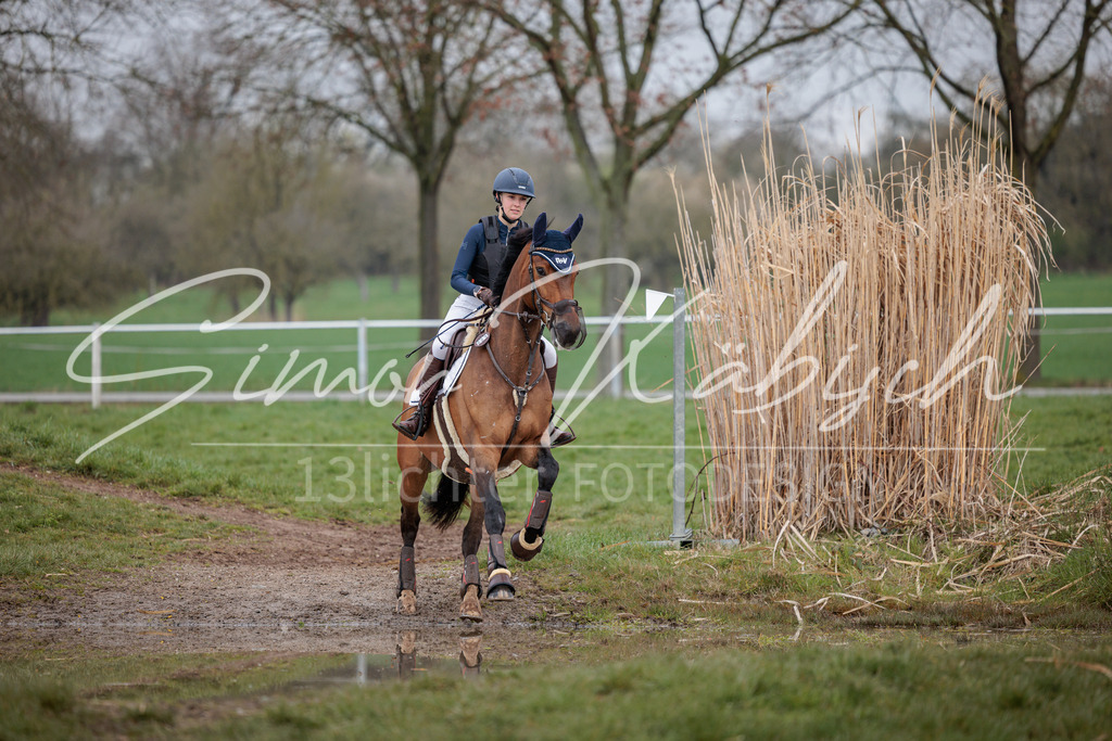 20260329-_3LI3880 | Tierfotografie Pferde, Hunde, Katzen, Haustiere.
Turnierfotografie Reitturniere, Reiten, Springreiten, Dressur in Hanau, dem Main-Kinzig-Kreis und dem Rhein-Main- Gebiet um Frankfurt