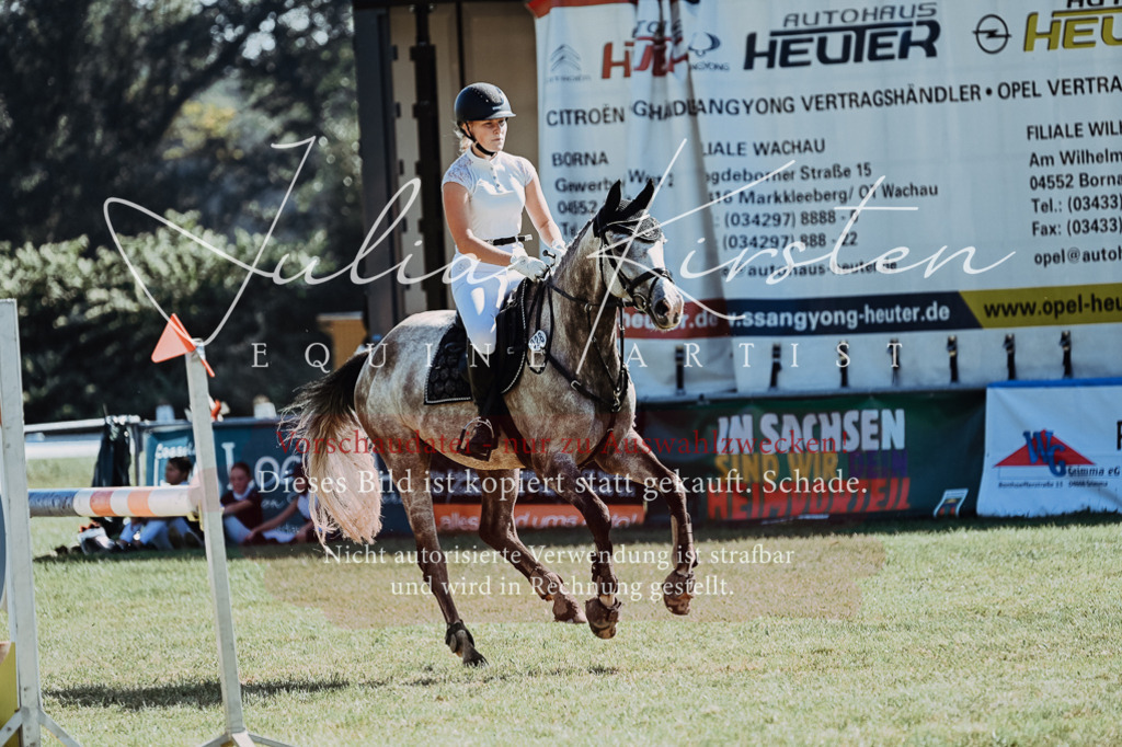 DSC_5515 | Pferde- und Turnierfotografie in Westsachsen. Pferdeportraits, Auftragszeichnungen und intuitive Kunst.