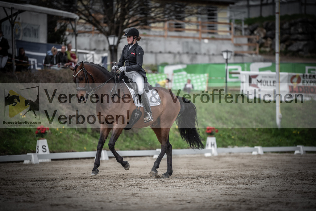 DSC_2460 | equestrian-live-com