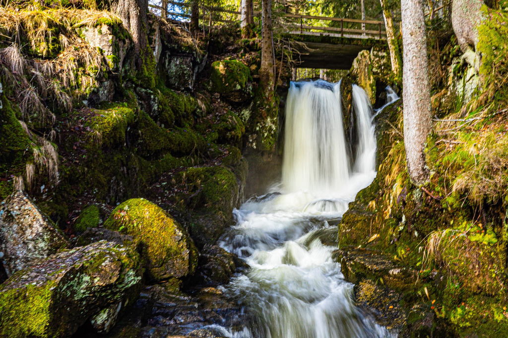 _DSC8256 | <meta name="keywords" content="Bergbilder, Hochzeitsfotografie, Actionshootings, Fotografiearbeiten, Berglandschaften, Naturfotografie">

 - Realisiert mit Pictrs.com