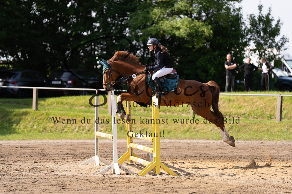 A7507361 | Turnier/Reitfotograf