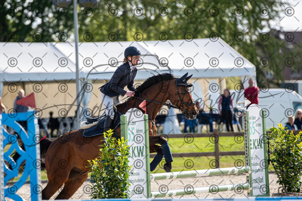 KPT_4533 | andre_photographic