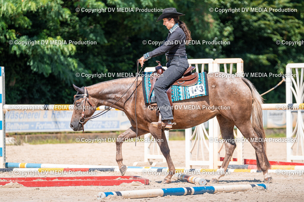 Zeiskam Tag 2-815 | dv-media-shop - Realisiert mit Pictrs.com