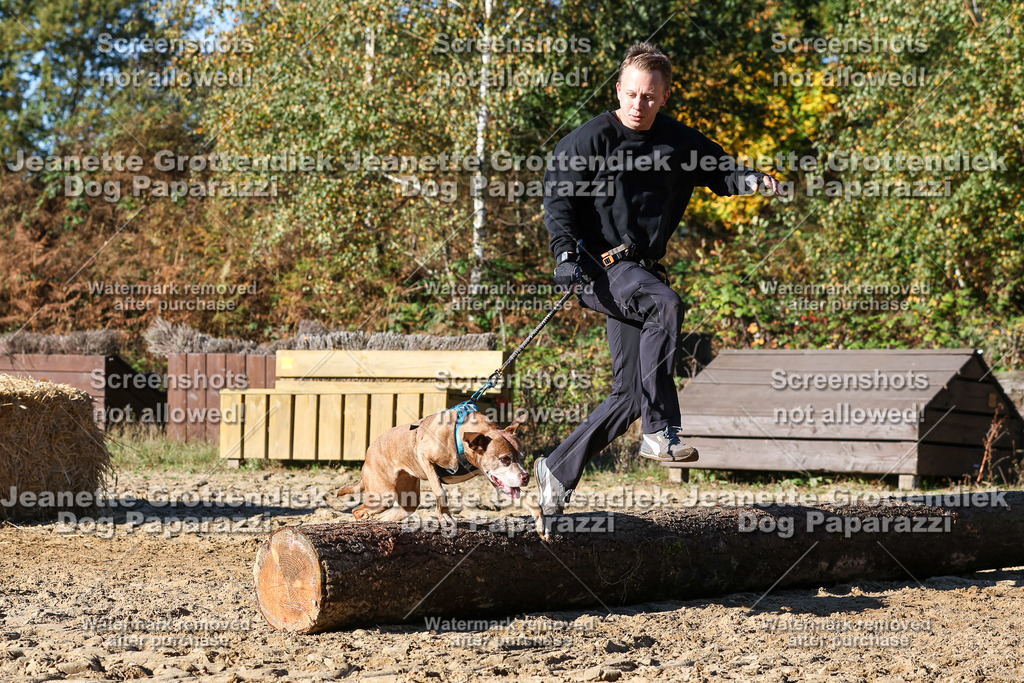 Dog Paparazzi - Strongdog 10-25-2078 | Dog Paparazzi Jeanette Grottendiek Fotografie & Videografie - Realisiert mit Pictrs.com