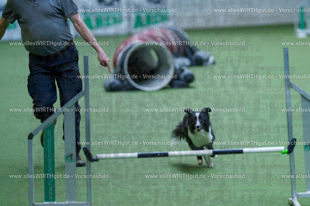 @allesWIRTHgut_Tierfotografie - www.allesWIRTHgut.de - 2604251527-7R505952 | Professionelle Tierfotografie in Mönchengladbach von Daniel Wirth (allesWIRTHgut). Liebevolle & natürliche Bilder von Hunden & Katzen für unvergessliche Erinnerungen.