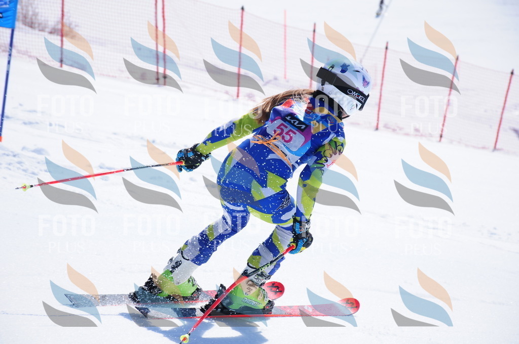 DSC_4247 | holidayphoto