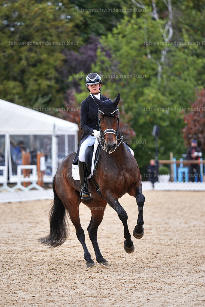 12-110-DRESSUR  S___  -Marixx-5210 | working equitationturnier fotograf videograf stoibphotography marixx film working equitation deutschland reitsport turnierfotografie eventfotografie equestrian events