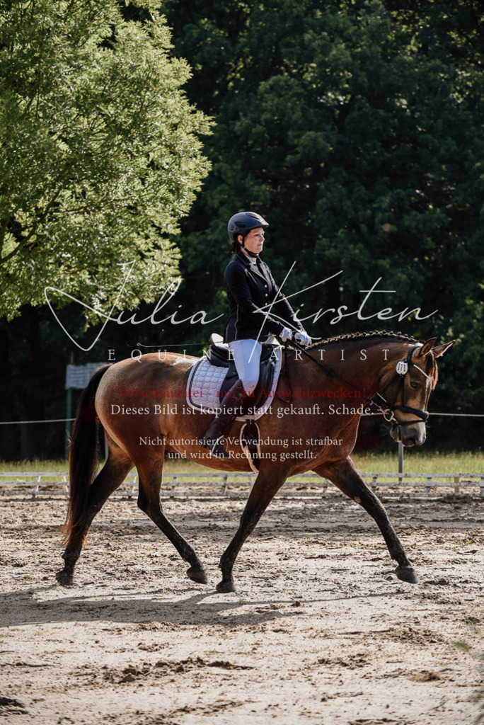 DSC_9233 | Pferde- und Turnierfotografie in Westsachsen. Pferdeportraits, Auftragszeichnungen und intuitive Kunst.