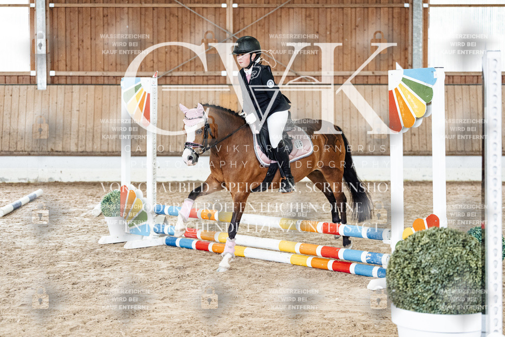 CK902818 | Turnierfotografie Pferdefotografie Trier Rheinland-Pfalz Pferdesport Reitsport Tierfotografie Sportfotografie Pferdevideo Pferdevideografie Equestrianvideography equestrianphotography  - Realisiert mit Pictrs.com