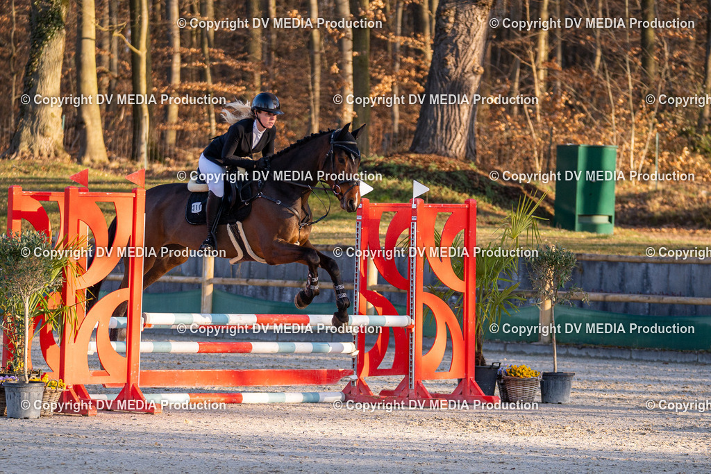 DSC-199 | dv-media-shop - Realisiert mit Pictrs.com