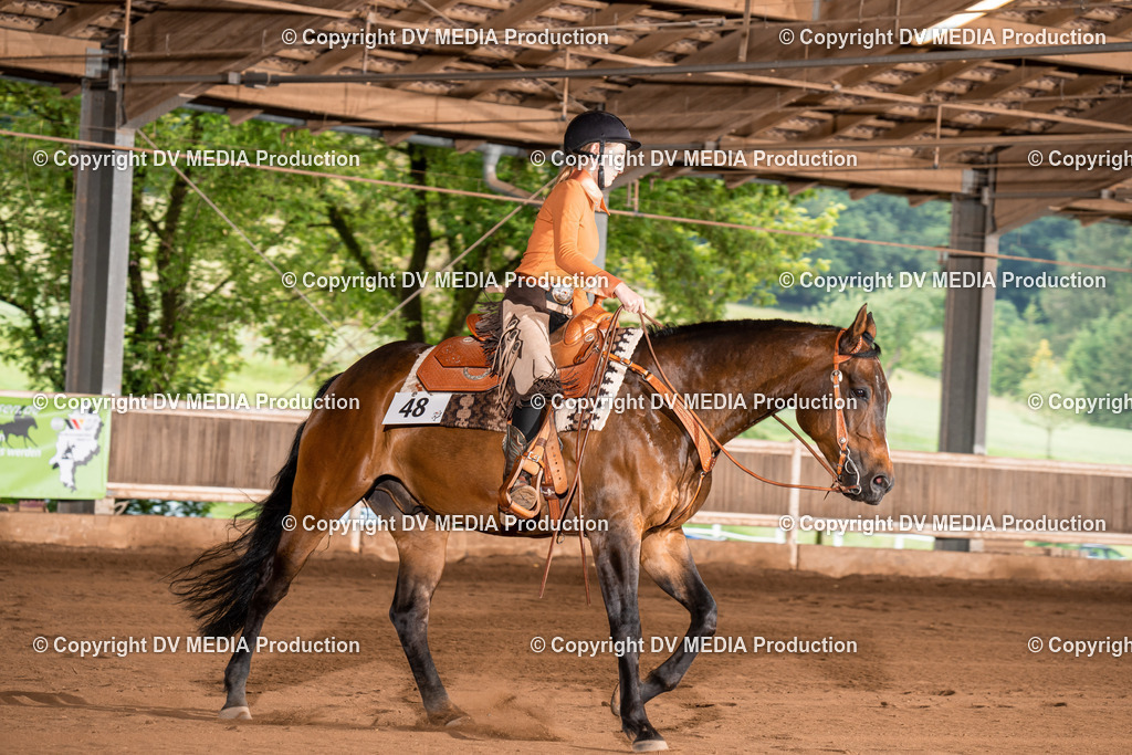 Erbach Tag 4-744 | dv-media-shop - Realisiert mit Pictrs.com