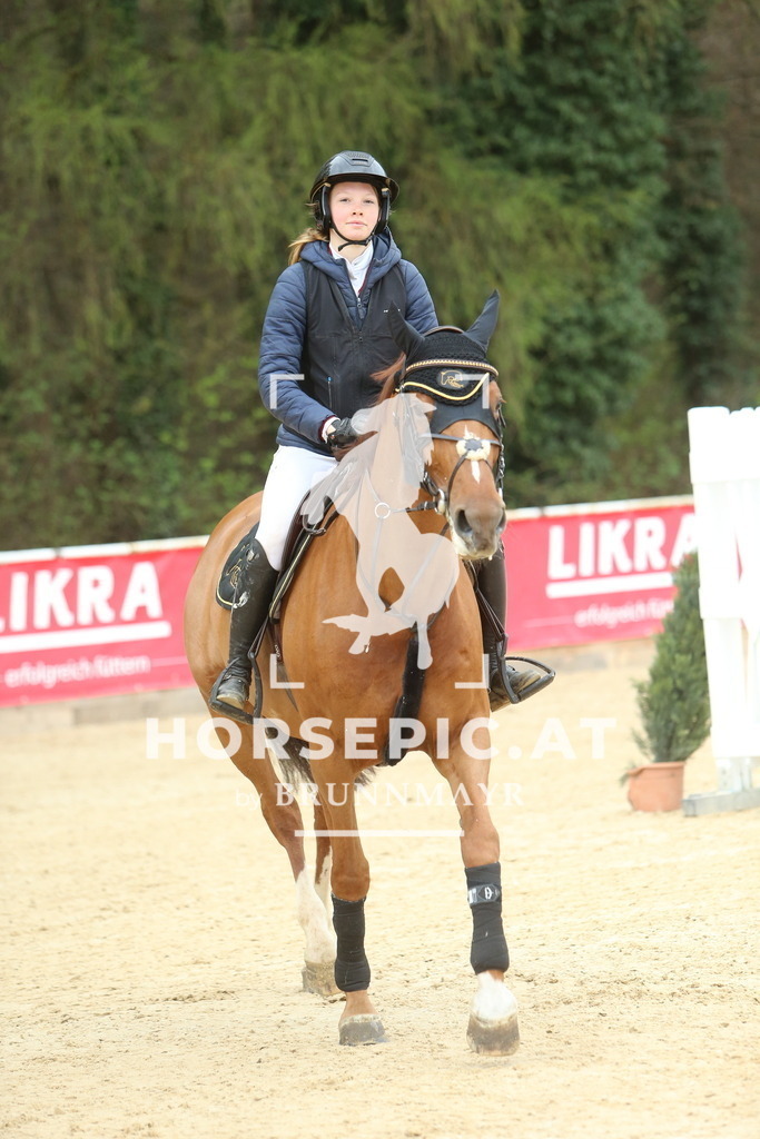 DL2Q2012 | Willkommen bei Brunnmayr - Design & Fotografie – Ihrem Spezialisten für Reitturniere und Pferdeveranstaltungen in Oberösterreich, Salzburg und Bayern! Seit über 17 Jahren sind wir leidenschaftlich dabei.