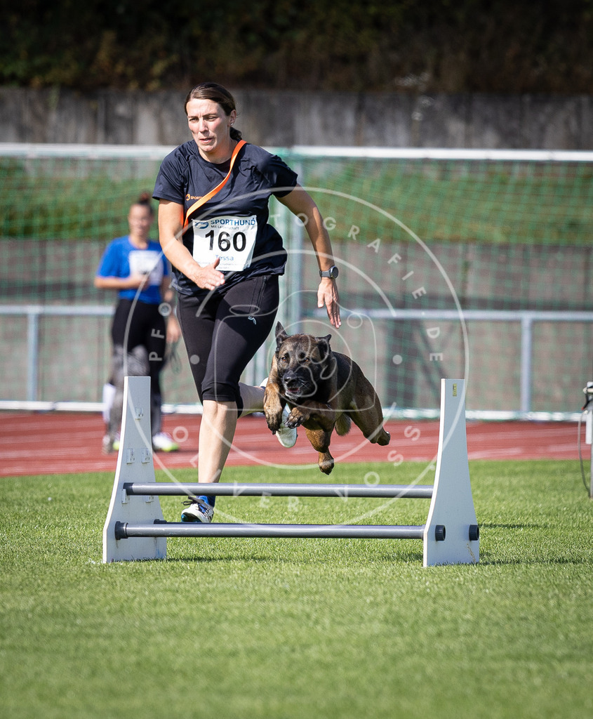Pfotenfotografie_DV3A9624 | Hundefotografie, Tierfotograf, Pfotenfotografie, Fotoshooting Hund, Hunde Portrait, Hundesport, Hundeportraits, Heideshooting, Hunde, Sportfotograf, Hundefotograf, Turnierhundsport, THS,  - Realisiert mit Pictrs.com