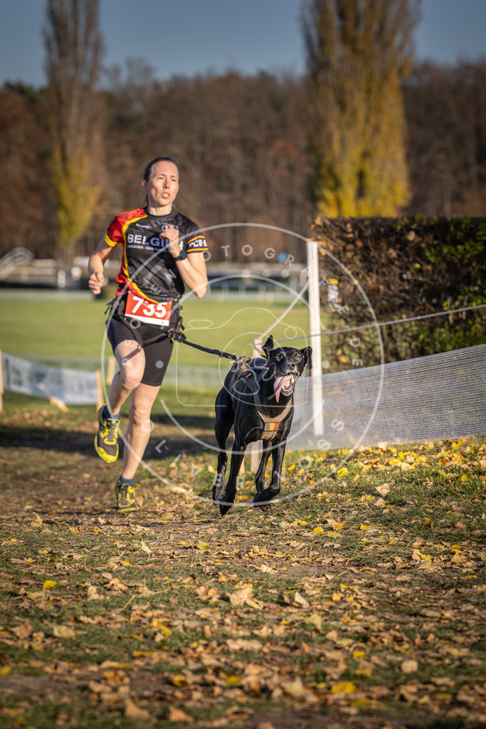 CaniXpix_DV3A2127 | Hundefotografie, Tierfotograf, Pfotenfotografie, Fotoshooting Hund, Hunde Portrait, Hundesport, Hundeportraits, Heideshooting, Hunde, Sportfotograf, Hundefotograf, Turnierhundsport, THS,  - Realisiert mit Pictrs.com