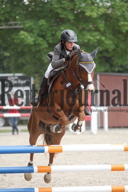 Rot am See_2024_SD-Ponymeisterschaften_Prfg.Nr.10_Springprfg.Kl.A_Moritz Steimle_Discolo SWS (4) | Alle Fotos der Reiterjournal Fotografin Doris Matthaes im Reiterjournal Online-Fotoshop. - Realizado com Pictrs.com