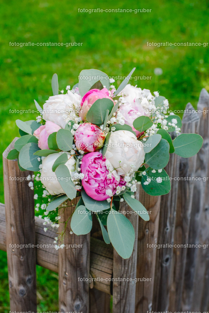 1017 | Fotografie Constance Gruber - Realisiert mit Pictrs.com