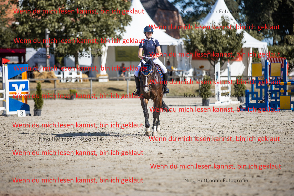 BK1A7358 | Turnierbilder Turnierfotos Nina Hüffmann Turnierfotografie Pferdefotografie Tierzeichnung Haustierzeichnung Pferdezeichnung Hundezeichnung Videograf  - Realisiert mit Pictrs.com