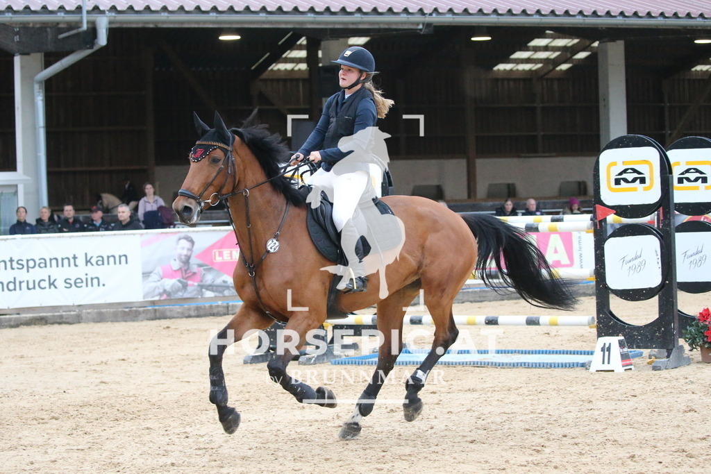 DL2Q6587 | Willkommen bei Brunnmayr - Design & Fotografie – Ihrem Spezialisten für Reitturniere und Pferdeveranstaltungen in Oberösterreich, Salzburg und Bayern! Seit über 17 Jahren sind wir leidenschaftlich dabei.