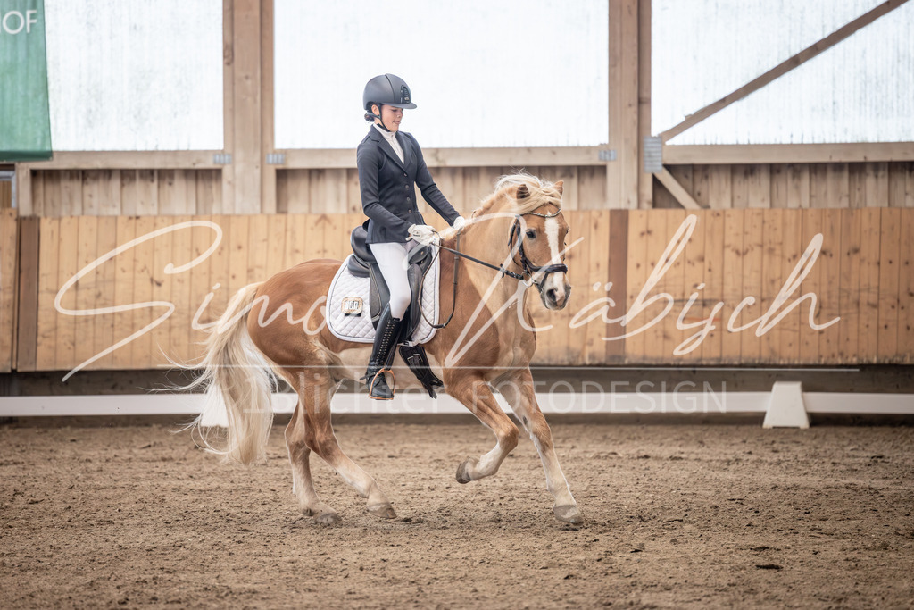 20251011-_3LI0502 | Tierfotografie Pferde, Hunde, Katzen, Haustiere.
Turnierfotografie Reitturniere, Reiten, Springreiten, Dressur in Hanau, dem Main-Kinzig-Kreis und dem Rhein-Main- Gebiet um Frankfurt