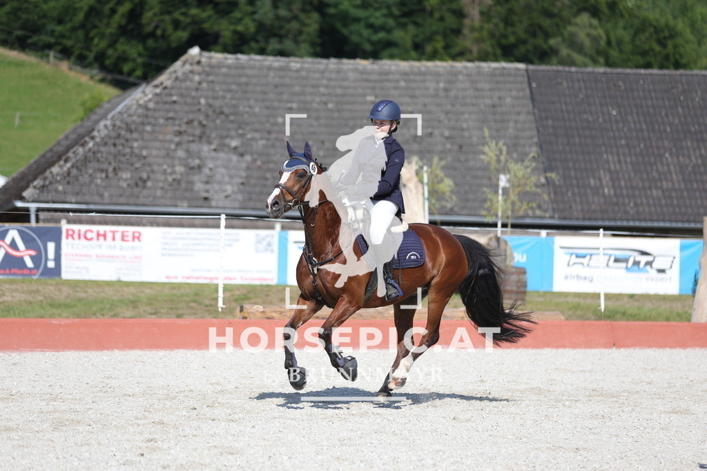 0P6A7550 | Willkommen bei Brunnmayr - Design & Fotografie – Ihrem Spezialisten für Reitturniere und Pferdeveranstaltungen in Oberösterreich, Salzburg und Bayern! Seit über 17 Jahren sind wir leidenschaftlich dabei.
