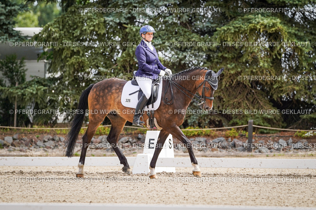 DSC02471 | Pferdegrafie