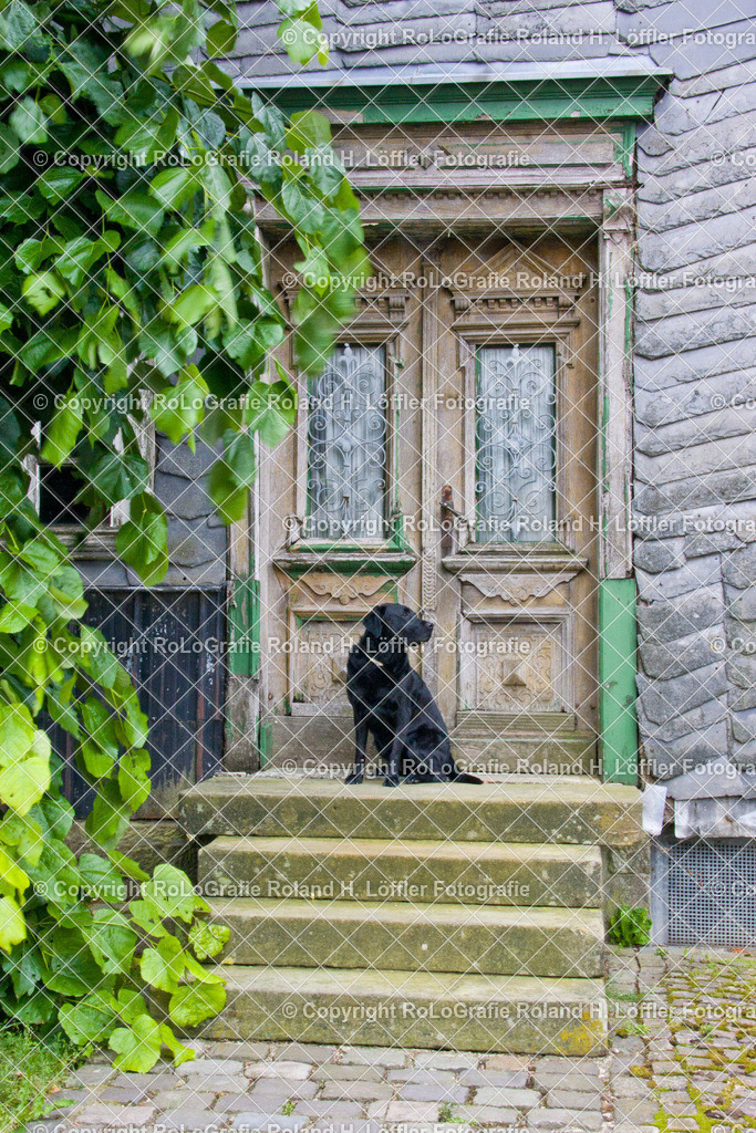 Altes-Haus-01-F | Altes Haus, Hauseingang mit Steintreppe auf der ein schwarzer Labrador sitzt - Realisiert mit Pictrs.com