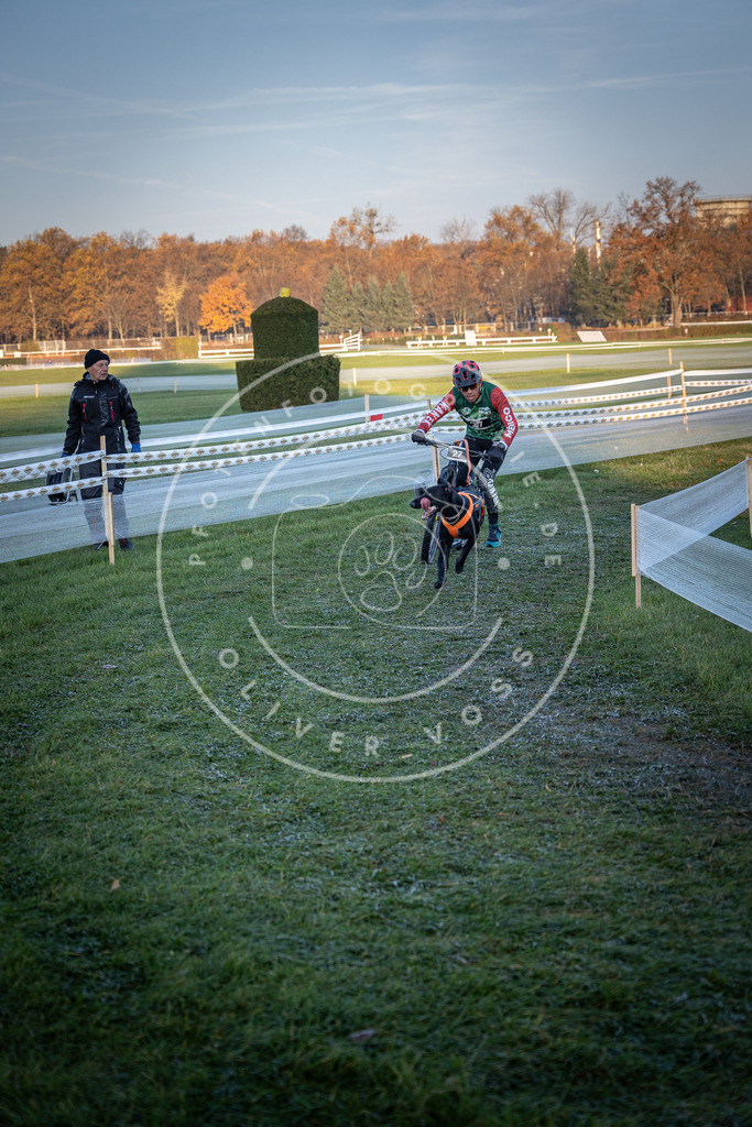 CaniXpix_0L8A1800 | Hundefotografie, Tierfotograf, Pfotenfotografie, Fotoshooting Hund, Hunde Portrait, Hundesport, Hundeportraits, Heideshooting, Hunde, Sportfotograf, Hundefotograf, Turnierhundsport, THS,  - Realisiert mit Pictrs.com