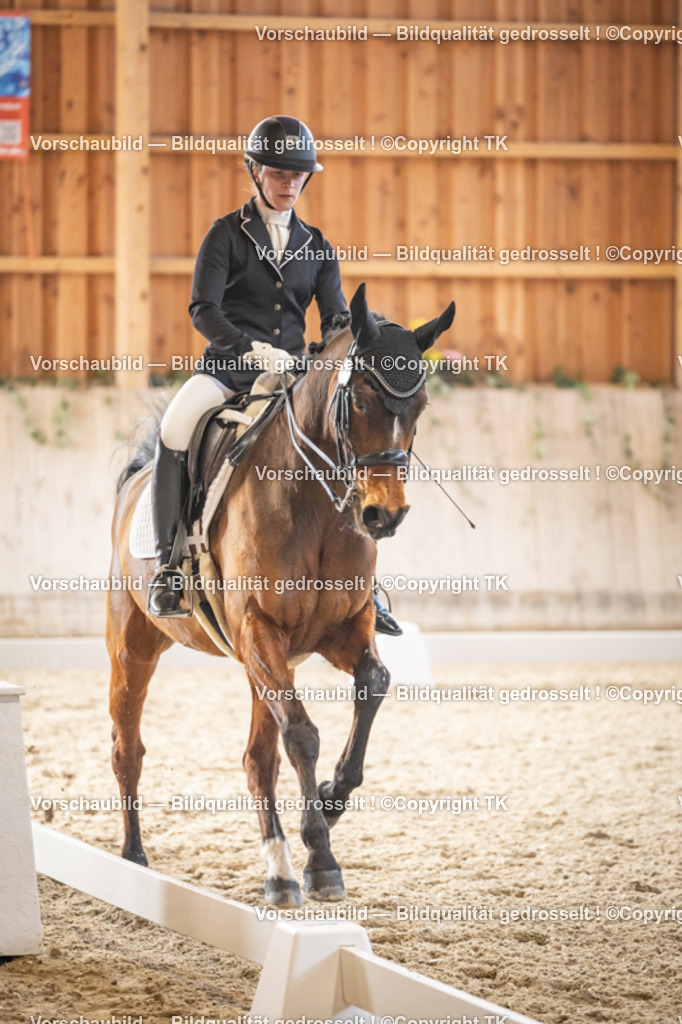 _D5A9132 | Emotionale Pferde- & People-Fotografie rund um Heidelberg, Leimen & Umgebung. Natürliche Fotos von Pferd, Mensch & Familie. Jetzt Termin sichern!