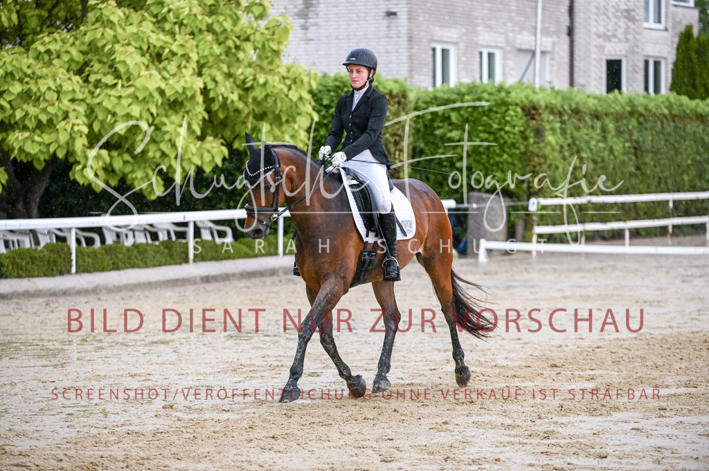 Schugtsche-Aluta25-55.Dressurreiterprf.L1Tr-259 | Schugtsche Fotografie - Realisiert mit Pictrs.com