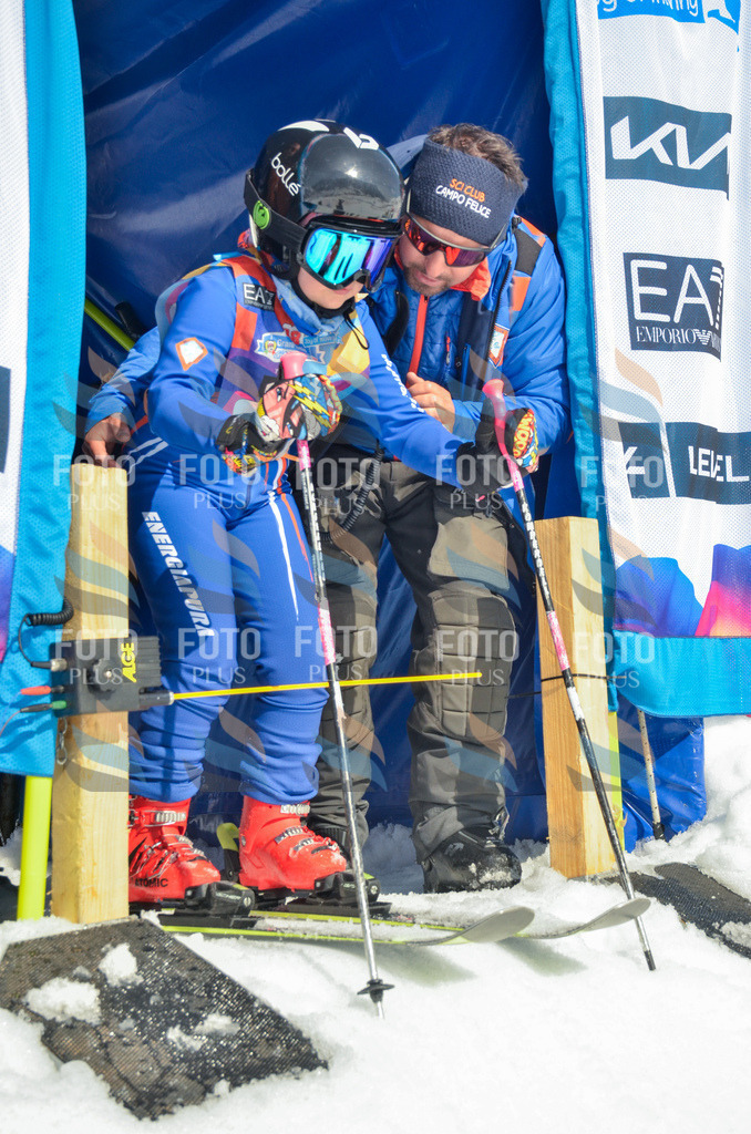 _ELE5564 | holidayphoto