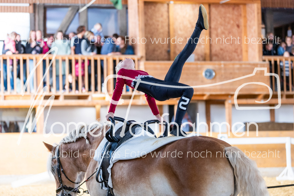 SS-Mini-099 | MomenTaufnahmen Pferdesportfotos