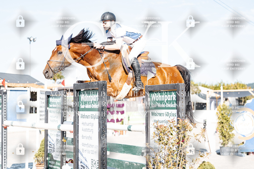 CK904153 | Turnierfotografie Pferdefotografie Trier Rheinland-Pfalz Pferdesport Reitsport Tierfotografie Sportfotografie Pferdevideo Pferdevideografie Equestrianvideography equestrianphotography  - Realisiert mit Pictrs.com