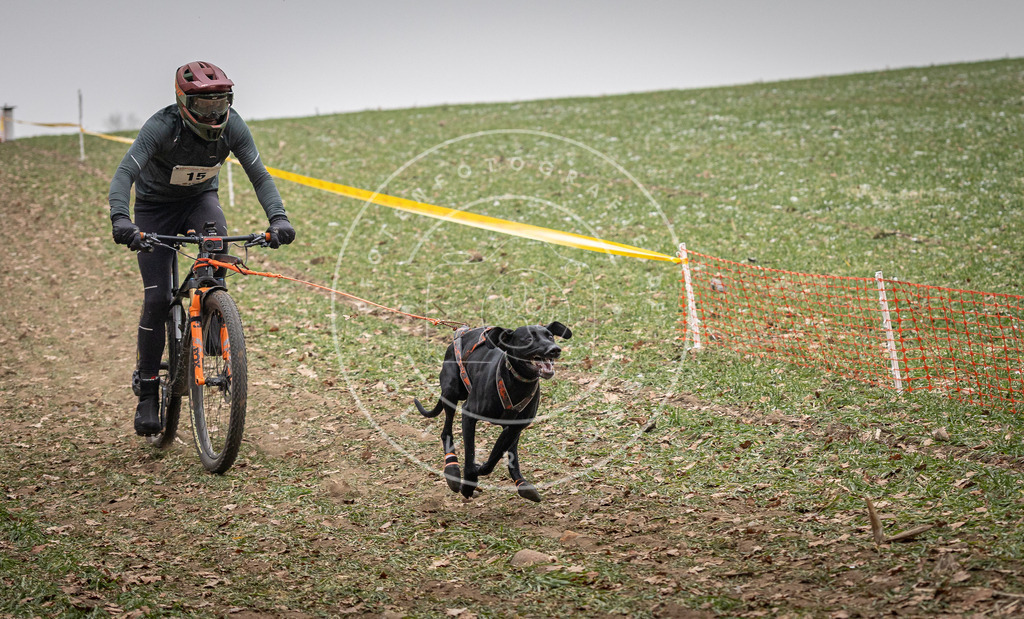 Pfotenfotografie_DV3A2414 | Hundefotografie, Tierfotograf, Pfotenfotografie, Fotoshooting Hund, Hunde Portrait, Hundesport, Hundeportraits, Heideshooting, Hunde, Sportfotograf, Hundefotograf, Turnierhundsport, THS,  - Realisiert mit Pictrs.com