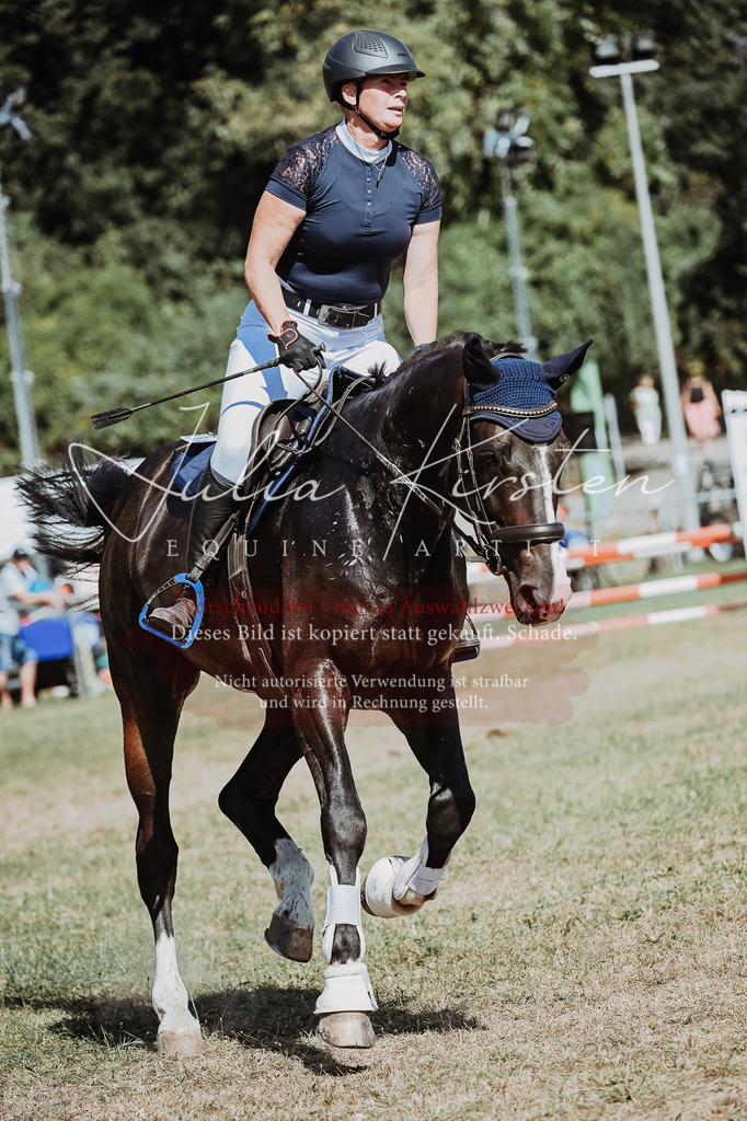 DSC_9877 | Pferde- und Turnierfotografie in Westsachsen. Pferdeportraits, Auftragszeichnungen und intuitive Kunst.