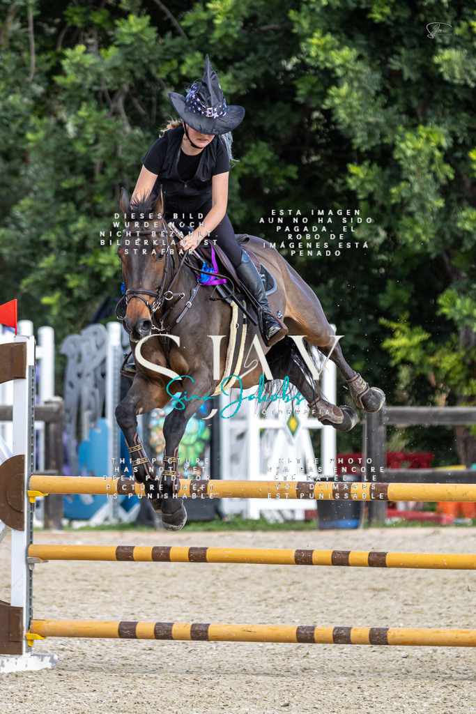 IMG_3314 | s-jay-photography - Realisiert mit Pictrs.com