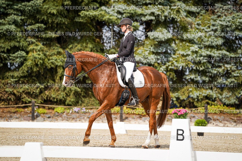 DSC06709 | Pferdegrafie