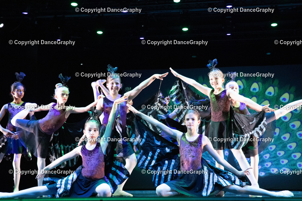 GPHY6174 | DanceGraphy - Realisiert mit Pictrs.com