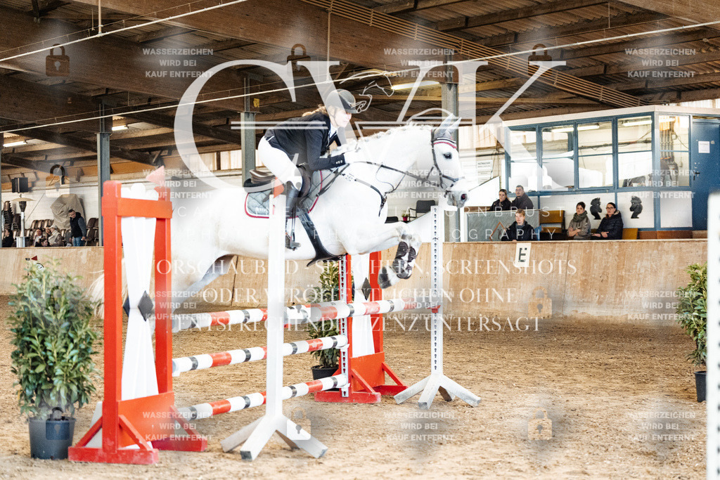 CK905177 | Turnierfotografie Pferdefotografie Trier Rheinland-Pfalz Pferdesport Reitsport Tierfotografie Sportfotografie Pferdevideo Pferdevideografie Equestrianvideography equestrianphotography  - Realized with Pictrs.com