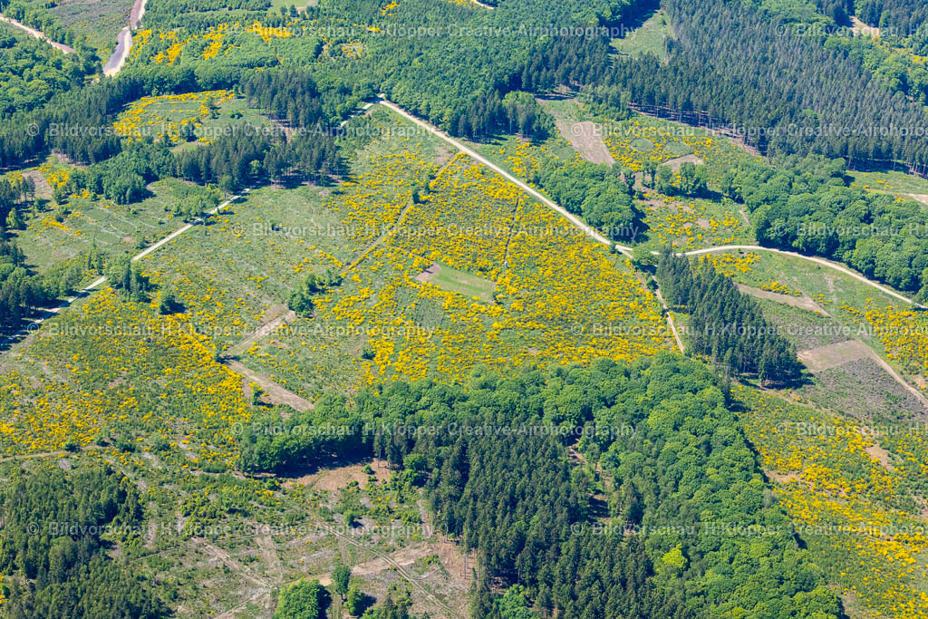 Luftbilder Gürzenich-2906 | Luftbildfotografie und Luftbilder Gürzenich - Realisiert mit Pictrs.com