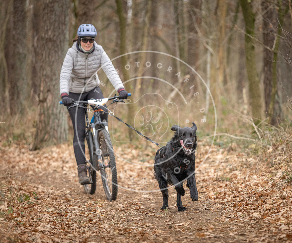 Pfotenfotografie_DV3A0228 | Hundefotografie, Tierfotograf, Pfotenfotografie, Fotoshooting Hund, Hunde Portrait, Hundesport, Hundeportraits, Heideshooting, Hunde, Sportfotograf, Hundefotograf, Turnierhundsport, THS,  - Realisiert mit Pictrs.com
